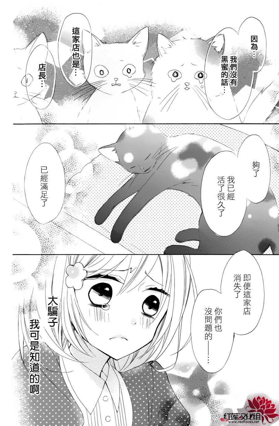 猫咖啡黑蜜灯韩漫全集-前篇无删减无遮挡章节图片 