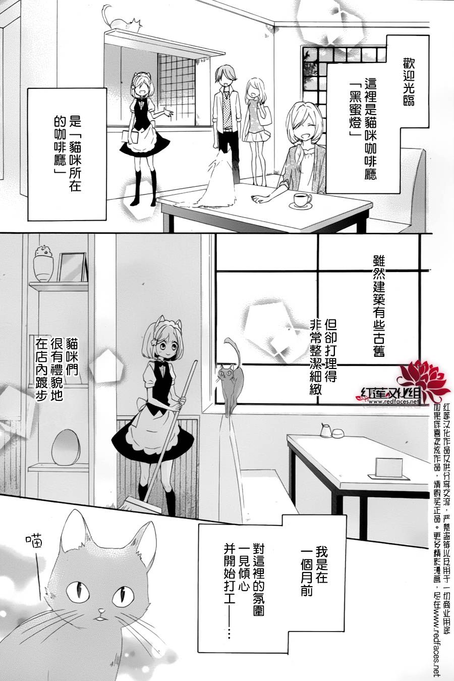 猫咖啡黑蜜灯韩漫全集-前篇无删减无遮挡章节图片 