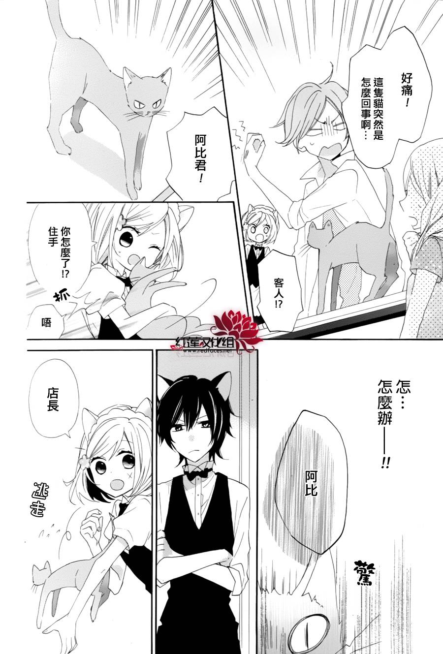 猫咖啡黑蜜灯韩漫全集-前篇无删减无遮挡章节图片 
