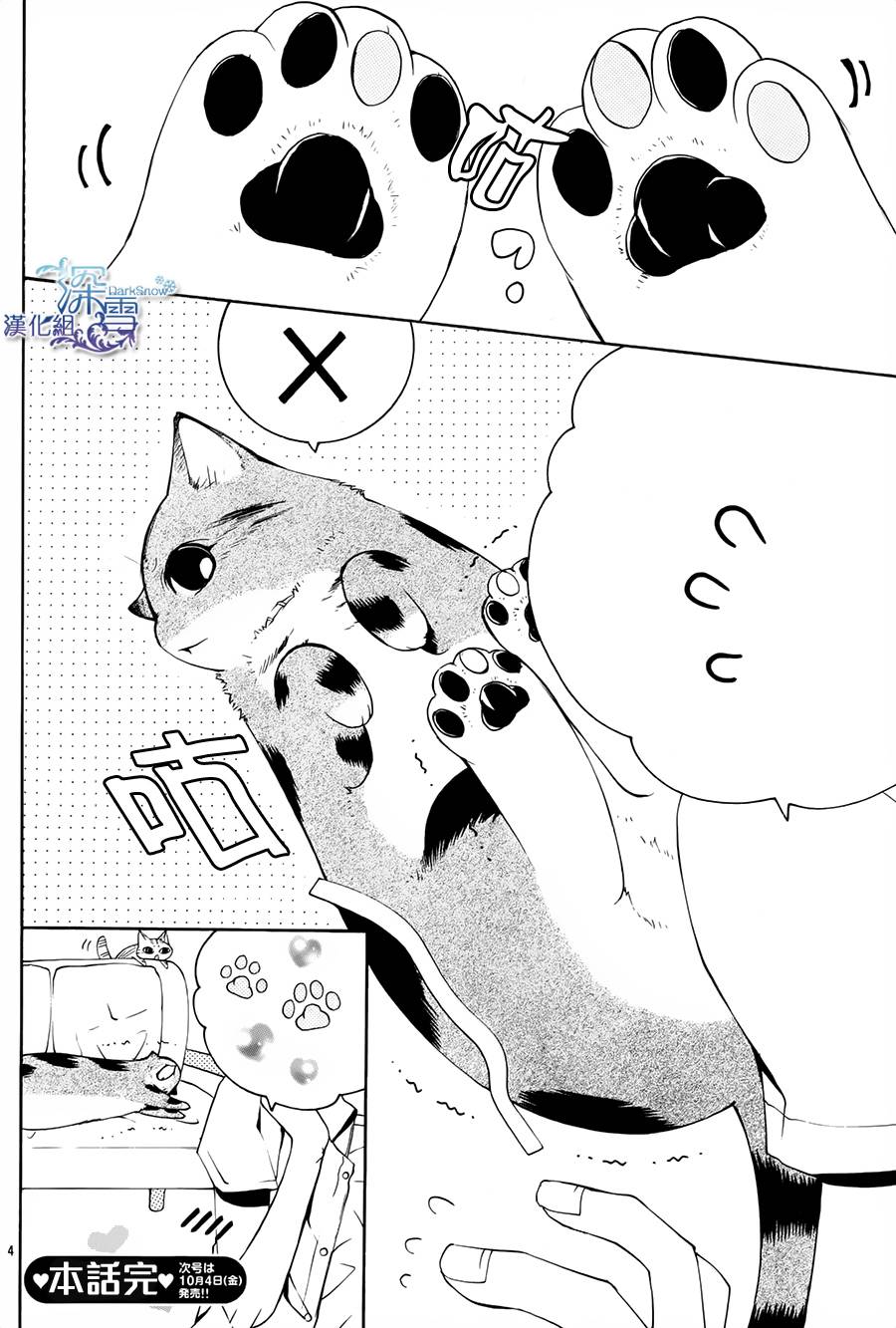 圆嘟嘟猫咪猫韩漫全集-全一话无删减无遮挡章节图片 