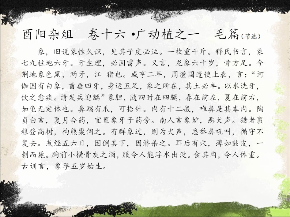 中国幻想选韩漫全集-第01话无删减无遮挡章节图片 