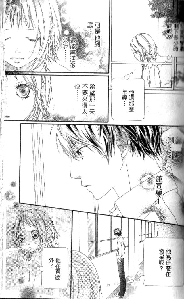 闪烁的爱情韩漫全集-第03卷无删减无遮挡章节图片 