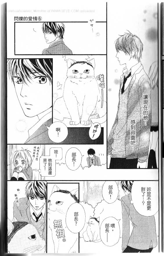 闪烁的爱情韩漫全集-第06卷无删减无遮挡章节图片 