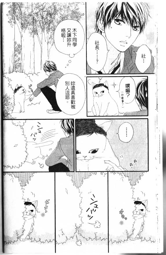 闪烁的爱情韩漫全集-第06卷无删减无遮挡章节图片 