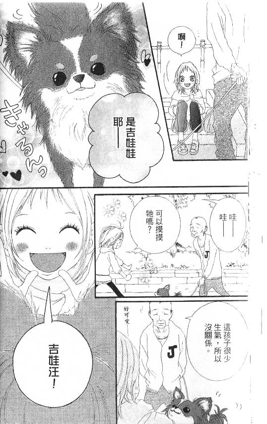 闪烁的爱情韩漫全集-第07卷无删减无遮挡章节图片 
