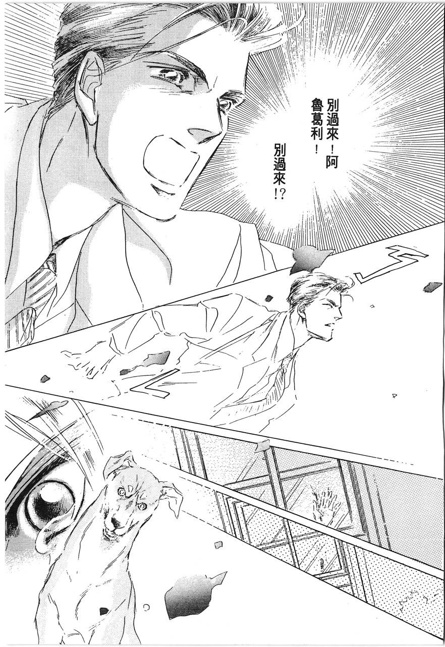 灵猫夜话物语韩漫全集-第01卷无删减无遮挡章节图片 