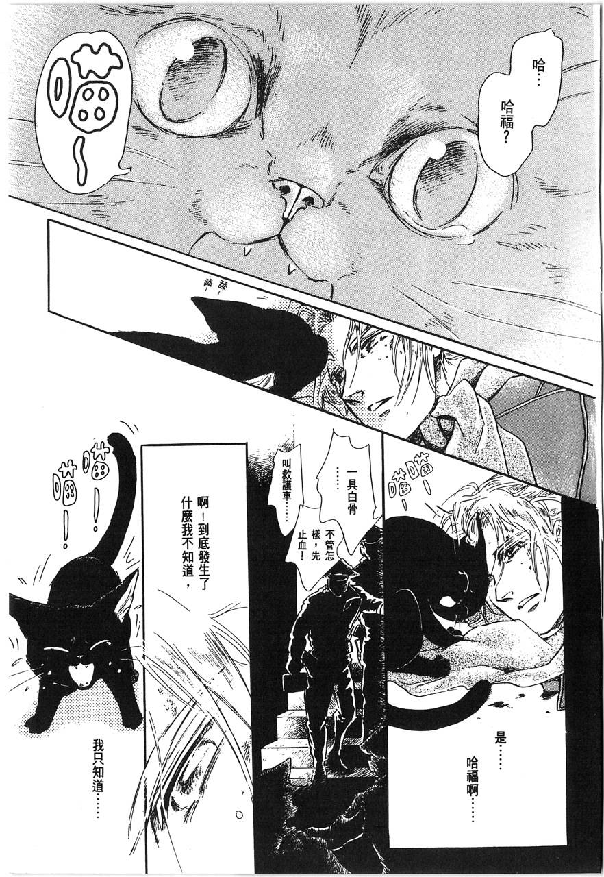 灵猫夜话物语韩漫全集-第01卷无删减无遮挡章节图片 