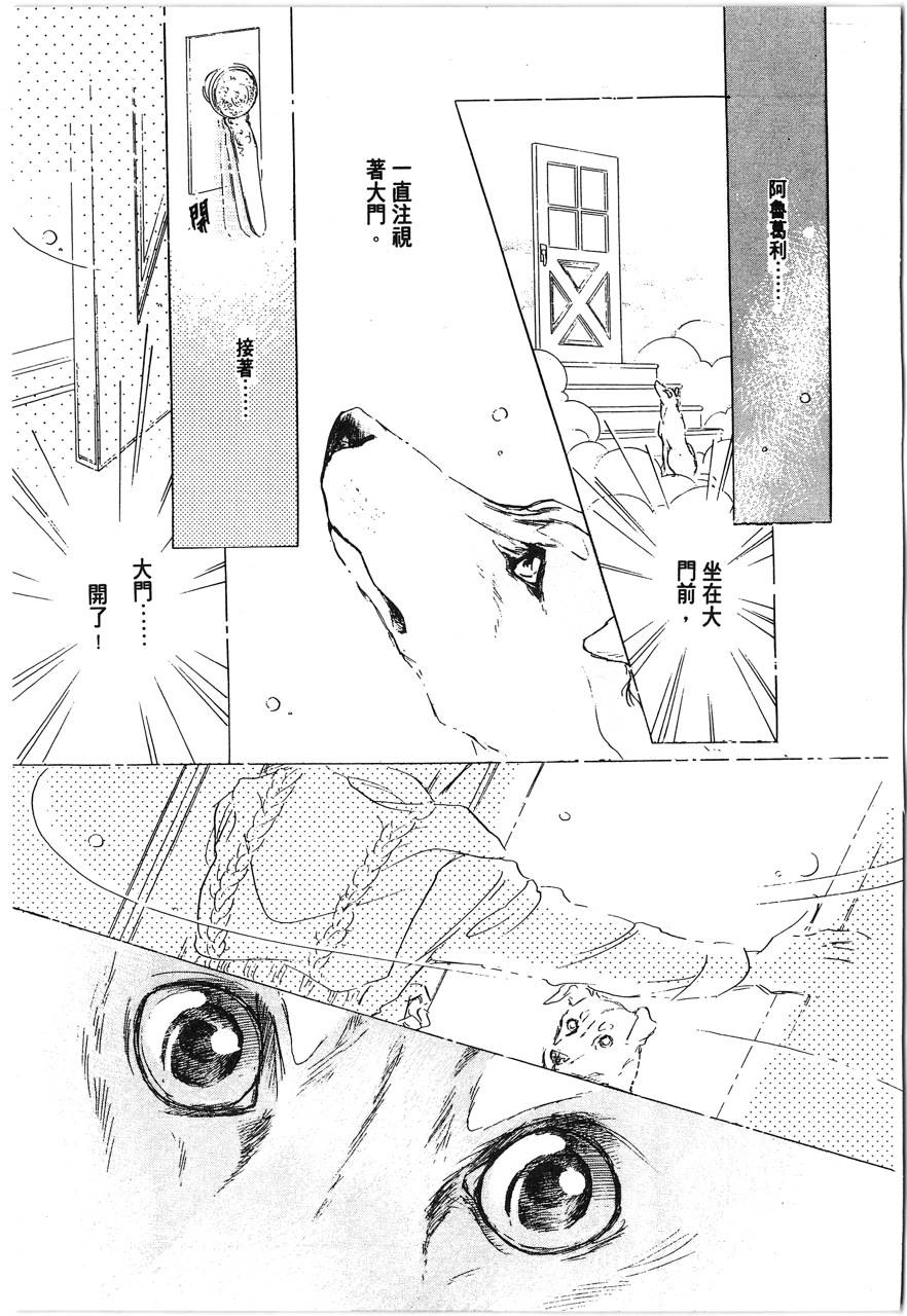 灵猫夜话物语韩漫全集-第01卷无删减无遮挡章节图片 