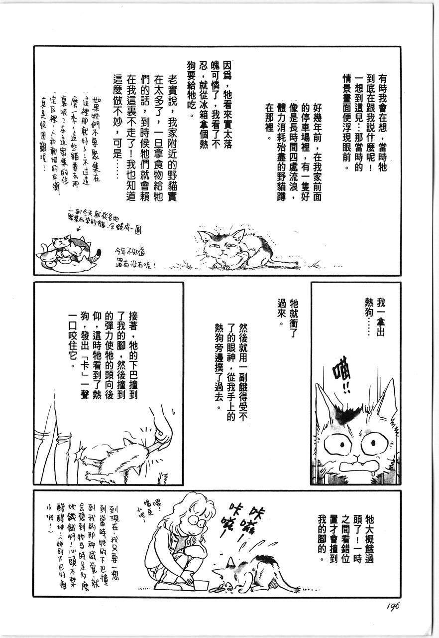 灵猫夜话物语韩漫全集-第01卷无删减无遮挡章节图片 