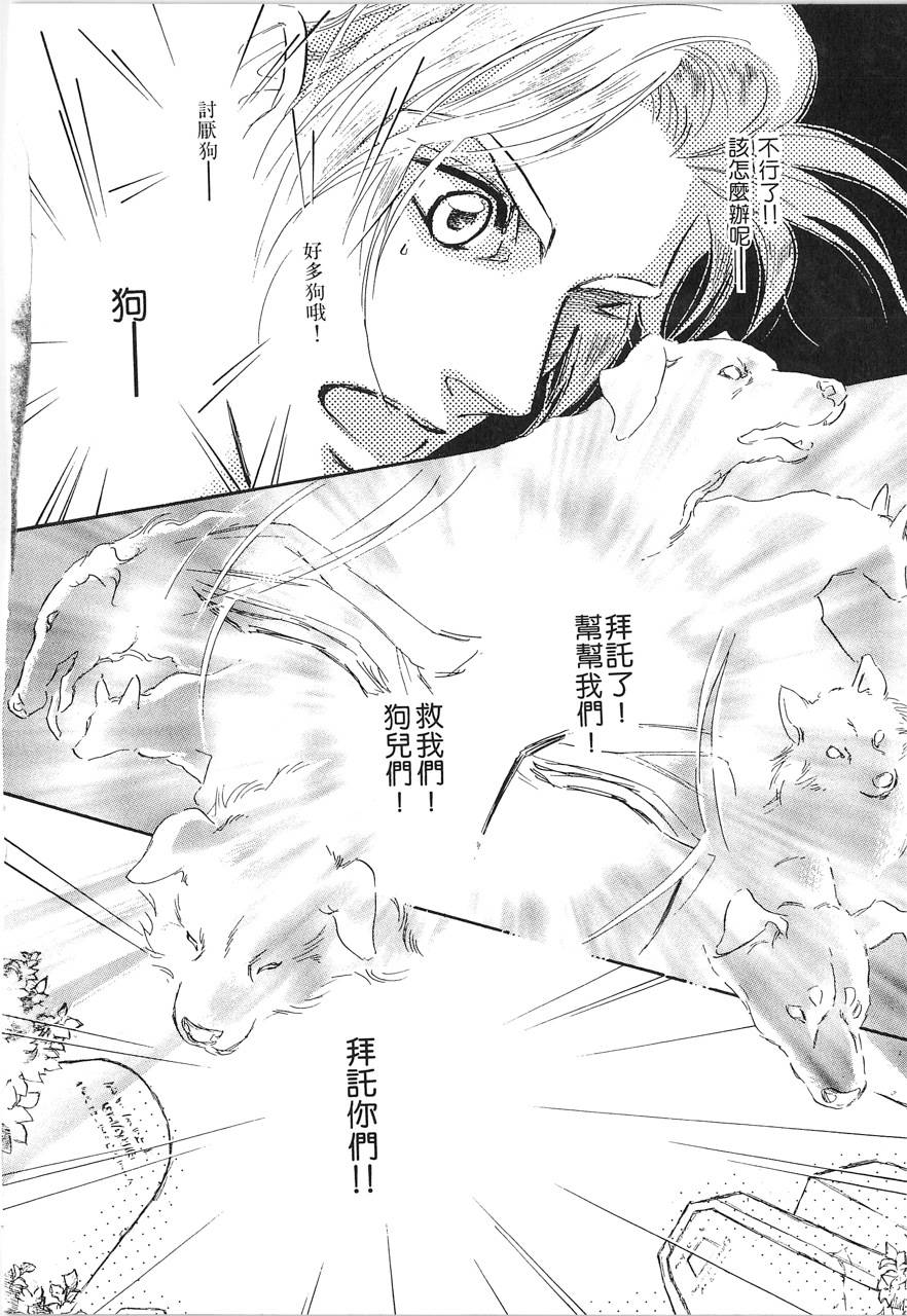灵猫夜话物语韩漫全集-第02卷无删减无遮挡章节图片 