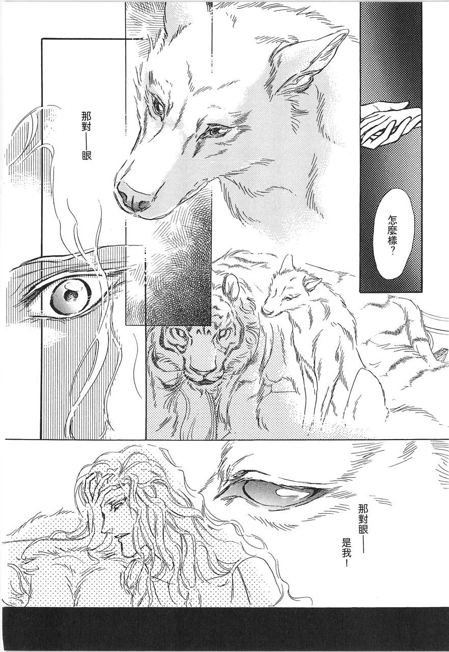 灵猫夜话物语韩漫全集-第02卷无删减无遮挡章节图片 