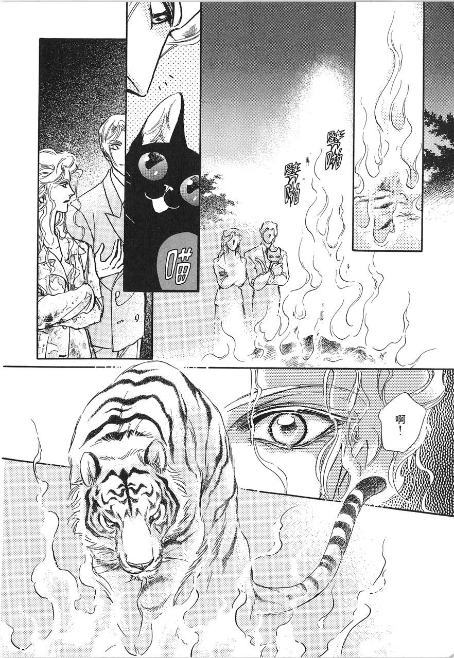 灵猫夜话物语韩漫全集-第02卷无删减无遮挡章节图片 