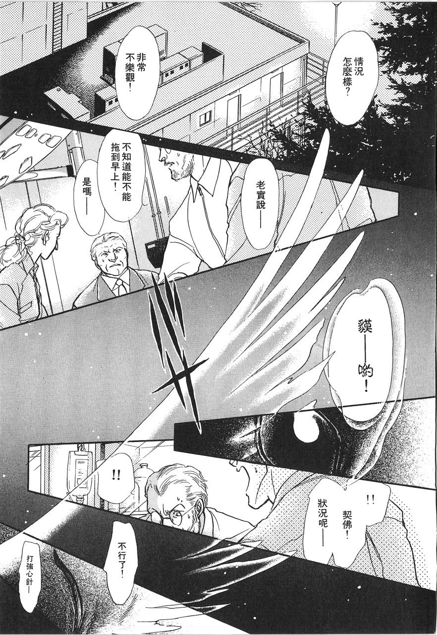灵猫夜话物语韩漫全集-第02卷无删减无遮挡章节图片 