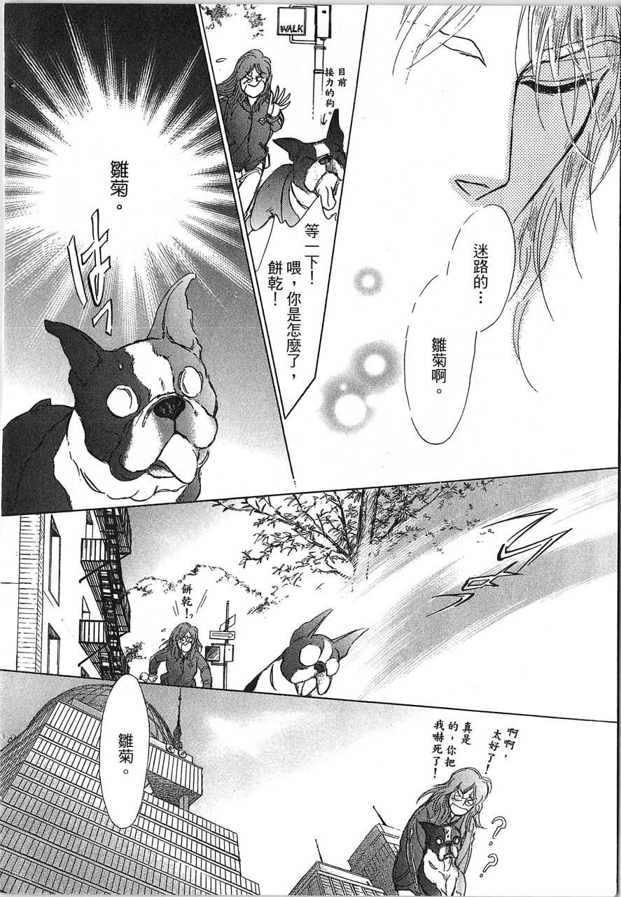 帅哥与通灵猫韩漫全集-第03卷无删减无遮挡章节图片 