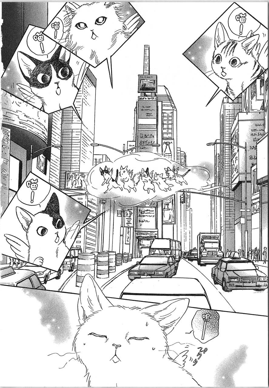帅哥与通灵猫韩漫全集-第05卷无删减无遮挡章节图片 