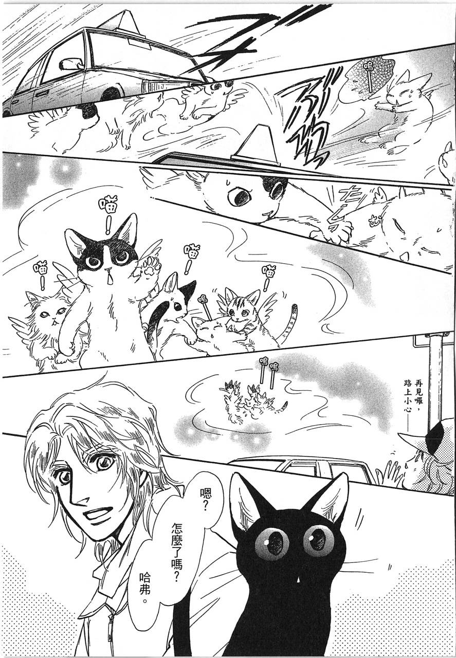 帅哥与通灵猫韩漫全集-第05卷无删减无遮挡章节图片 