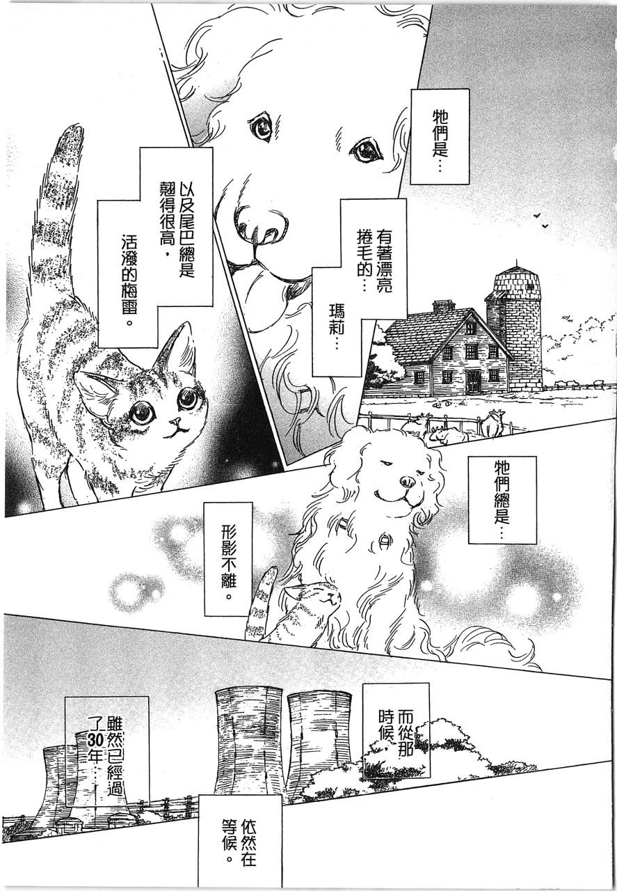 帅哥与通灵猫韩漫全集-第05卷无删减无遮挡章节图片 