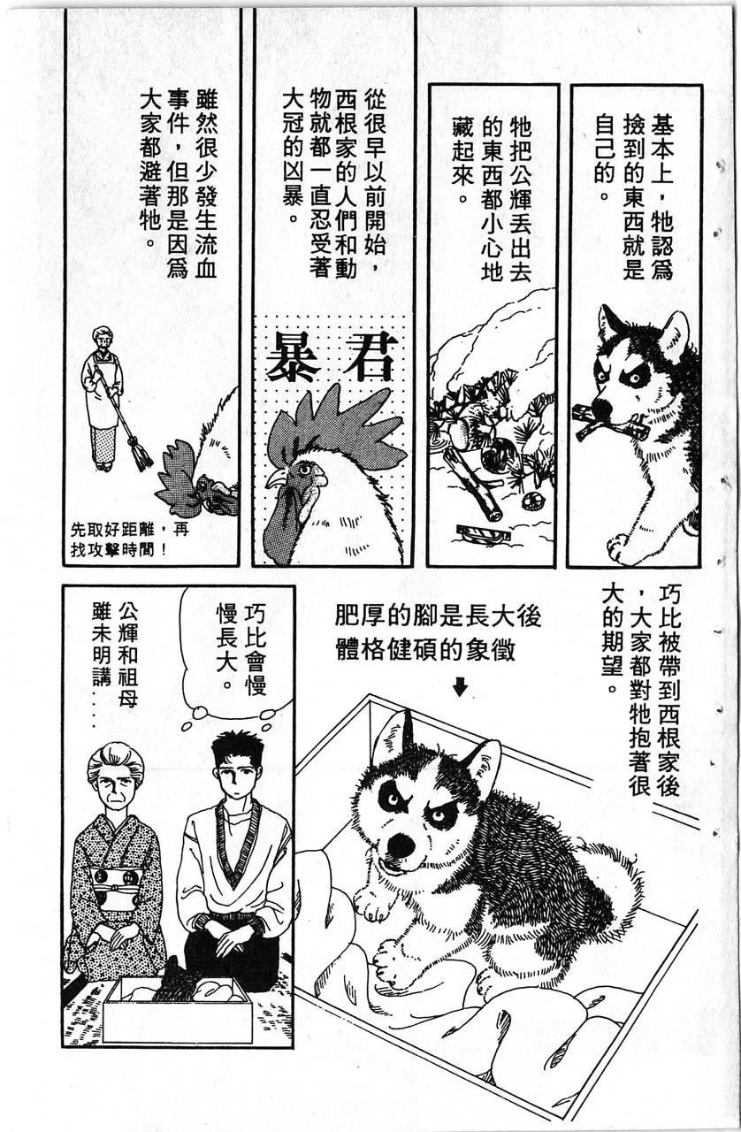 爱心动物医生韩漫全集-第01卷无删减无遮挡章节图片 
