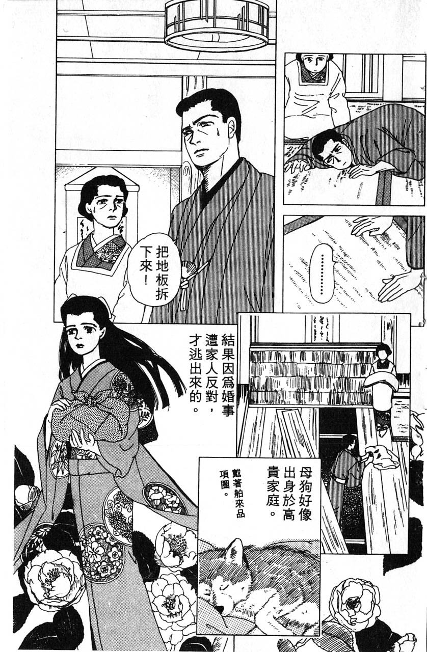 爱心动物医生韩漫全集-第01卷无删减无遮挡章节图片 
