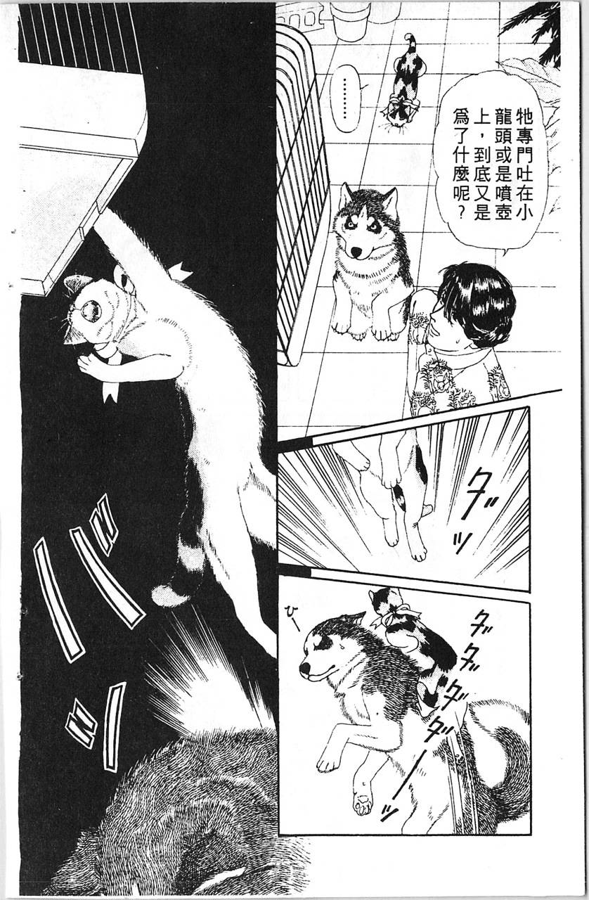 爱心动物医生韩漫全集-第08卷无删减无遮挡章节图片 
