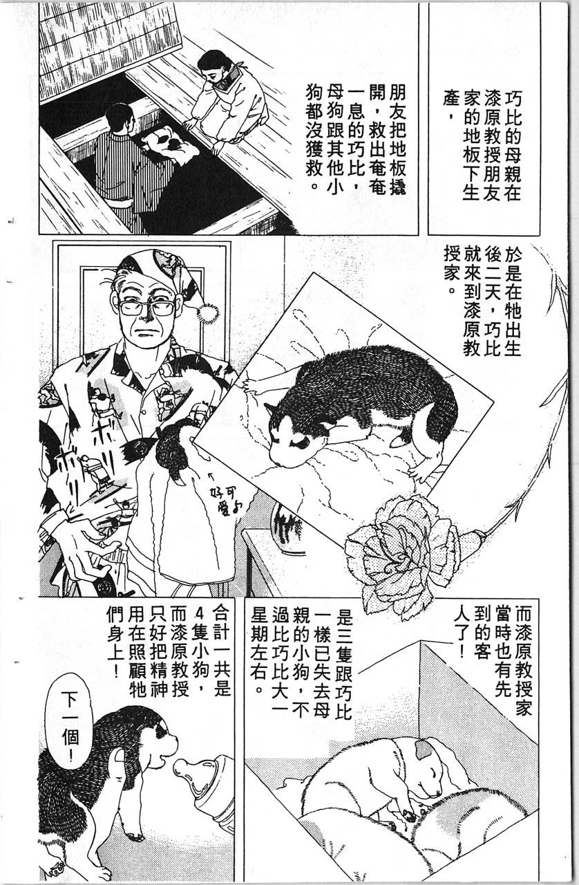 爱心动物医生韩漫全集-第08卷无删减无遮挡章节图片 