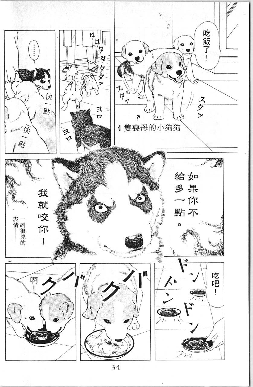 爱心动物医生韩漫全集-第08卷无删减无遮挡章节图片 