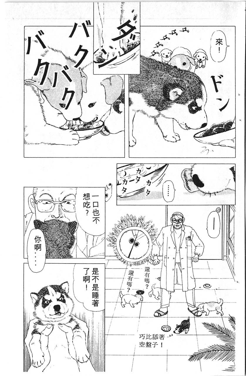 爱心动物医生韩漫全集-第08卷无删减无遮挡章节图片 