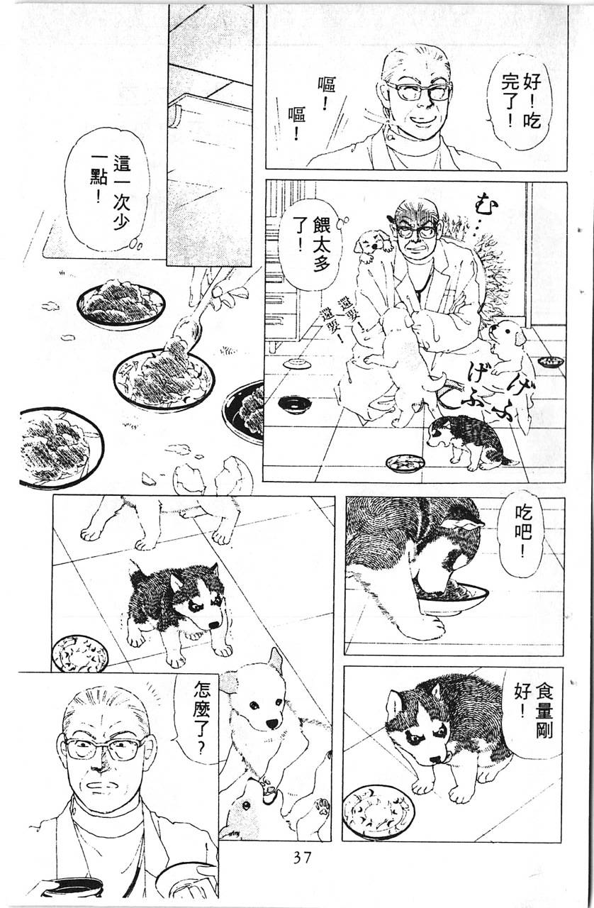 爱心动物医生韩漫全集-第08卷无删减无遮挡章节图片 