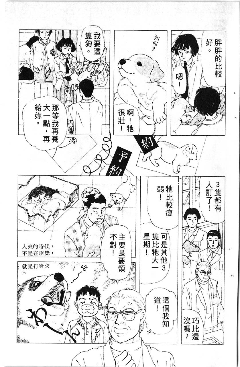 爱心动物医生韩漫全集-第08卷无删减无遮挡章节图片 
