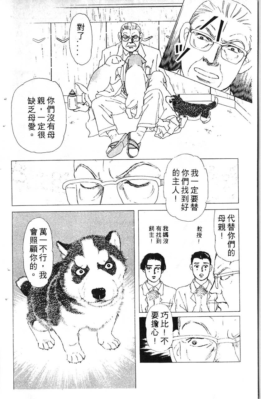 爱心动物医生韩漫全集-第08卷无删减无遮挡章节图片 