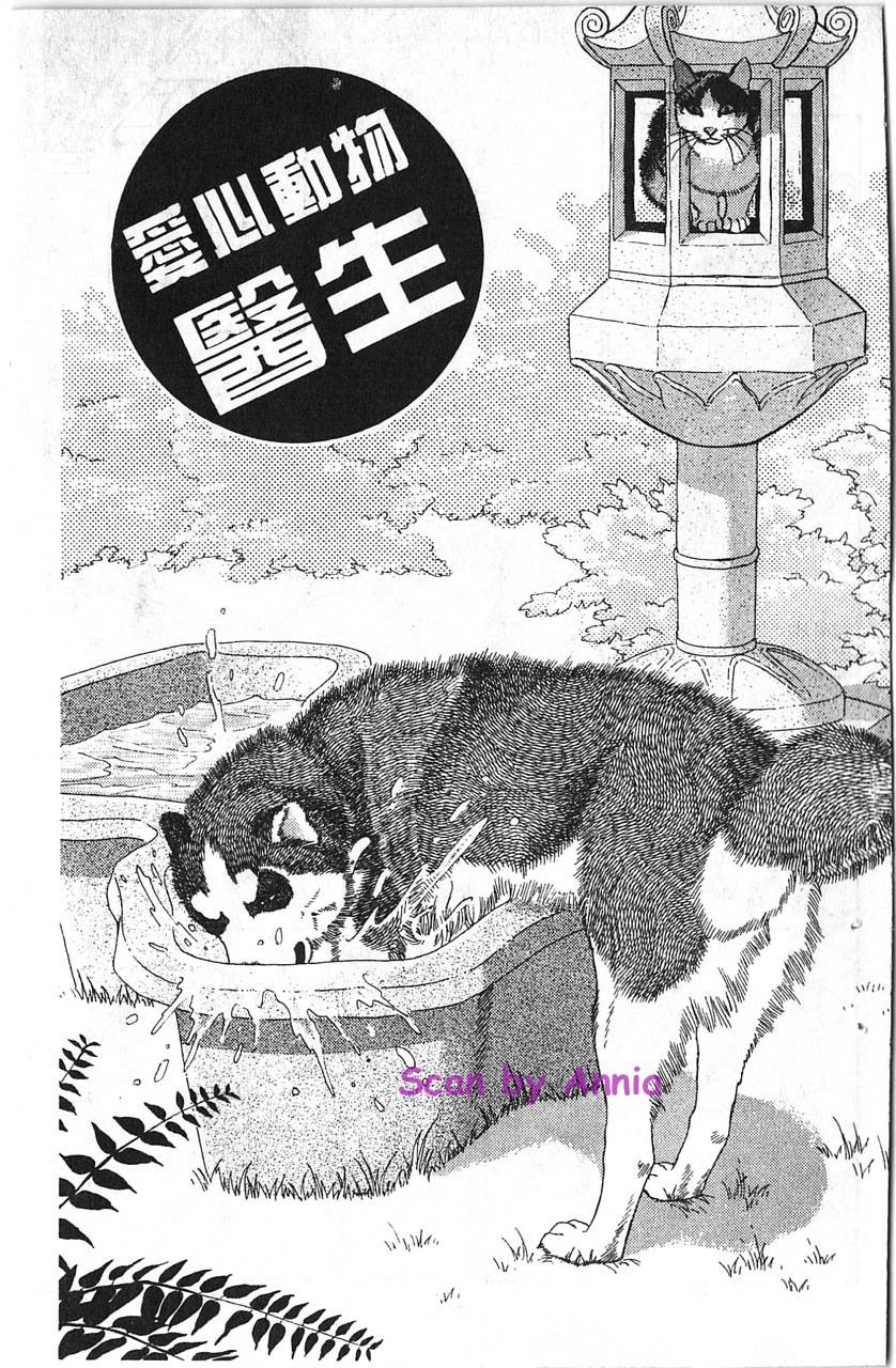 爱心动物医生韩漫全集-第08卷无删减无遮挡章节图片 
