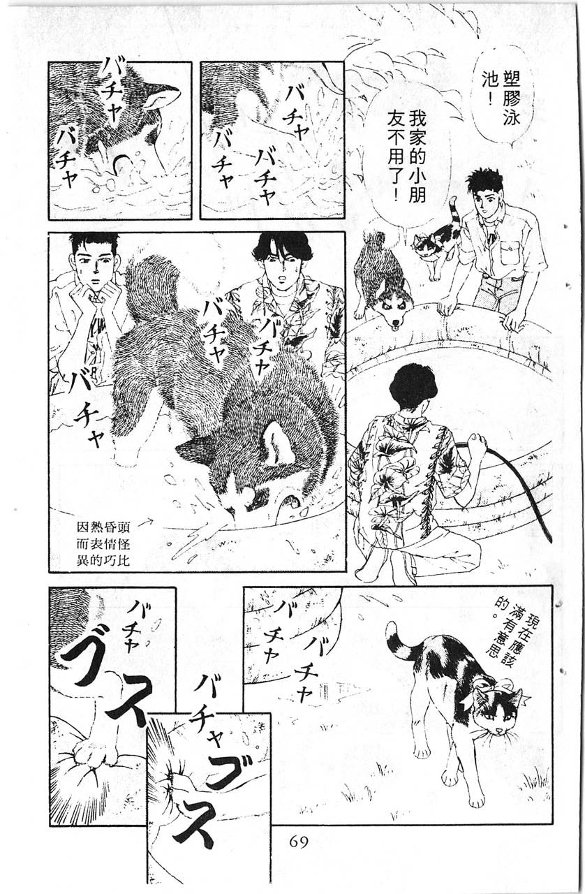 爱心动物医生韩漫全集-第08卷无删减无遮挡章节图片 