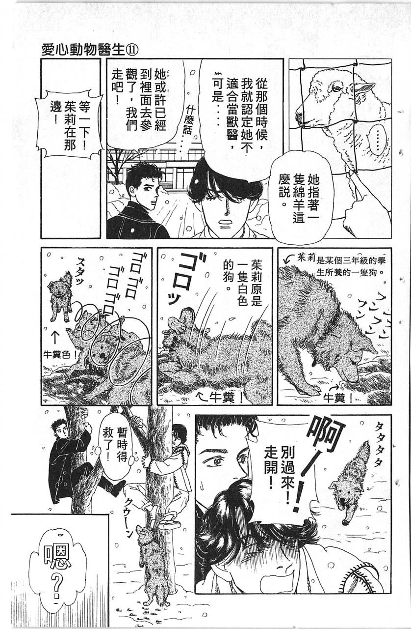 爱心动物医生韩漫全集-第11卷无删减无遮挡章节图片 