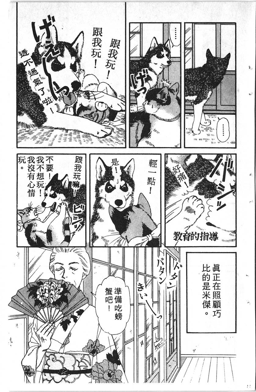 爱心动物医生韩漫全集-第11卷无删减无遮挡章节图片 