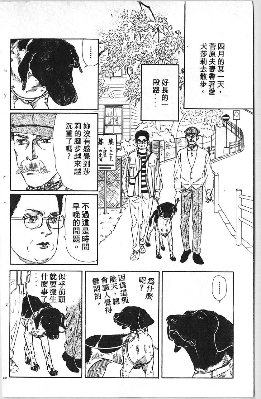 爱心动物医生韩漫全集-第11卷无删减无遮挡章节图片 