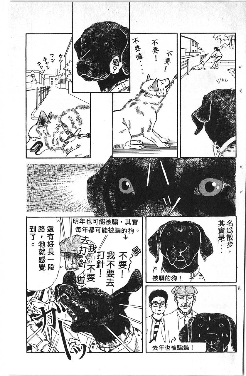 爱心动物医生韩漫全集-第11卷无删减无遮挡章节图片 
