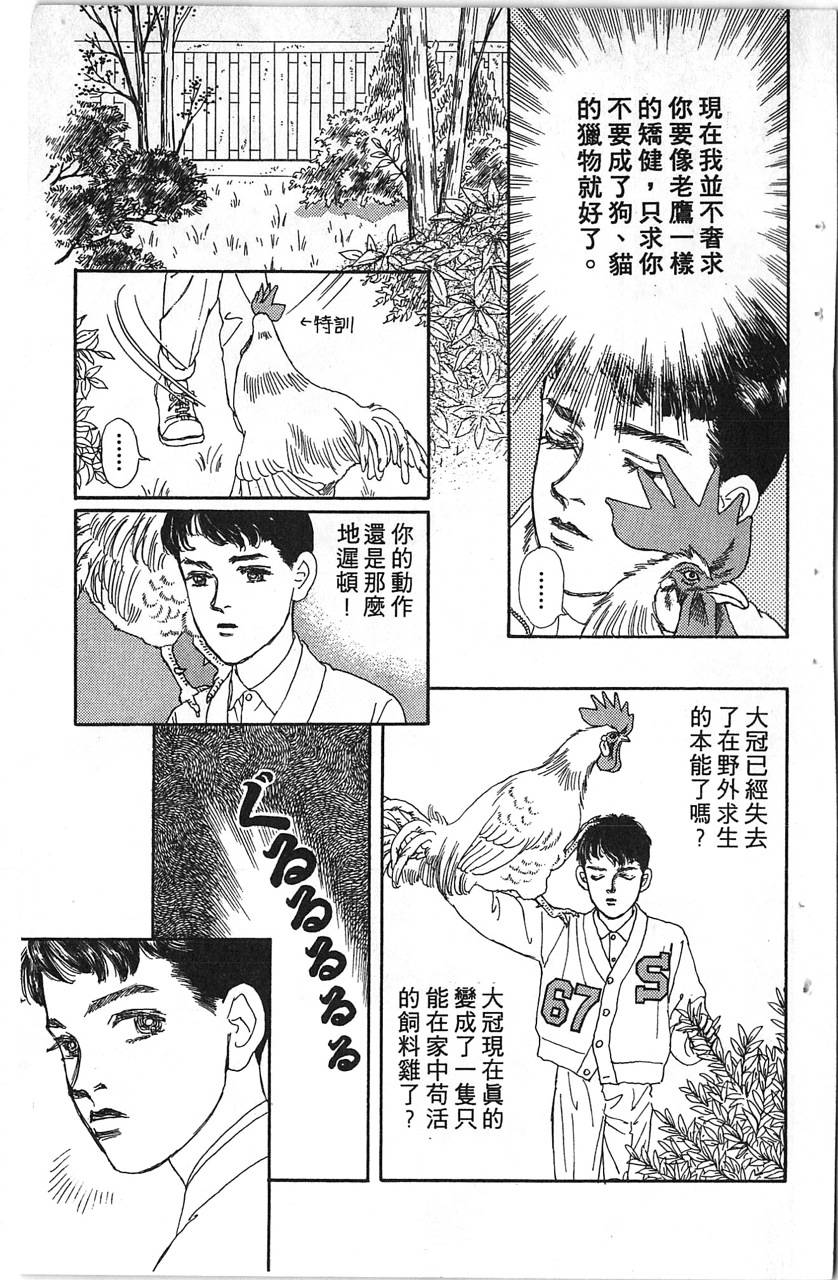 爱心动物医生韩漫全集-第11卷无删减无遮挡章节图片 