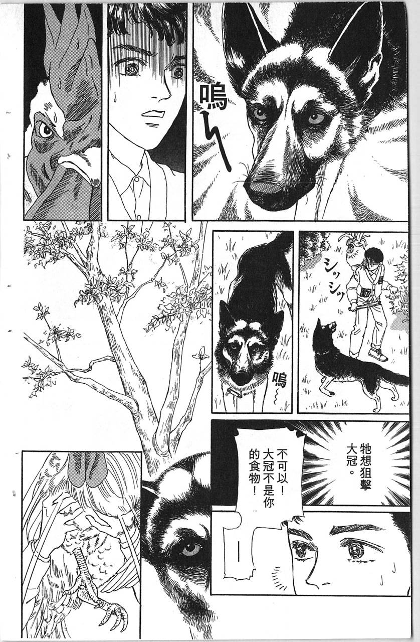 爱心动物医生韩漫全集-第11卷无删减无遮挡章节图片 