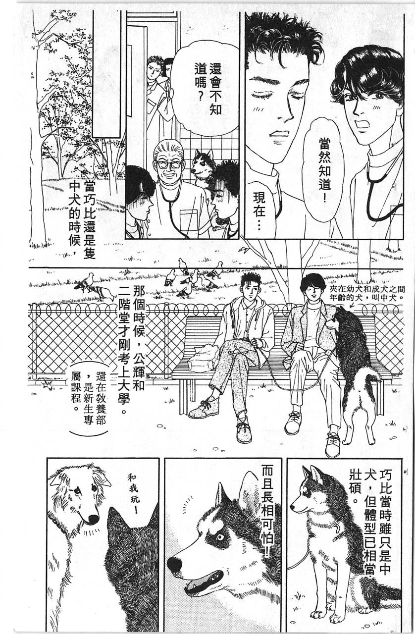 爱心动物医生韩漫全集-第12卷无删减无遮挡章节图片 