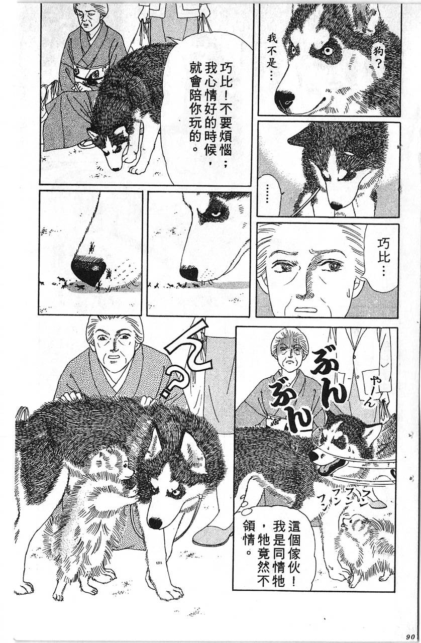 爱心动物医生韩漫全集-第12卷无删减无遮挡章节图片 
