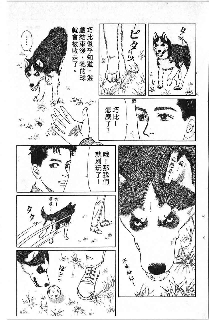 爱心动物医生韩漫全集-第12卷无删减无遮挡章节图片 