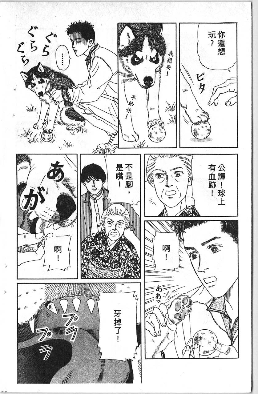 爱心动物医生韩漫全集-第12卷无删减无遮挡章节图片 