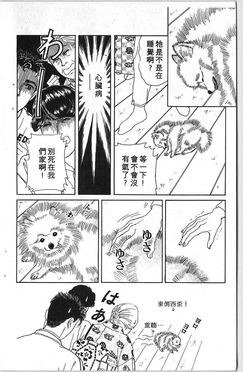 爱心动物医生韩漫全集-第12卷无删减无遮挡章节图片 