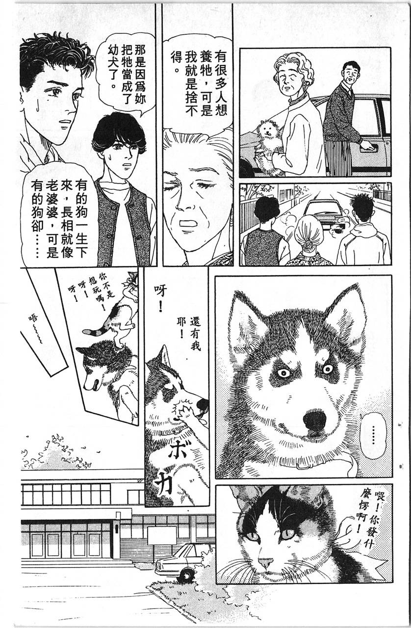 爱心动物医生韩漫全集-第12卷无删减无遮挡章节图片 