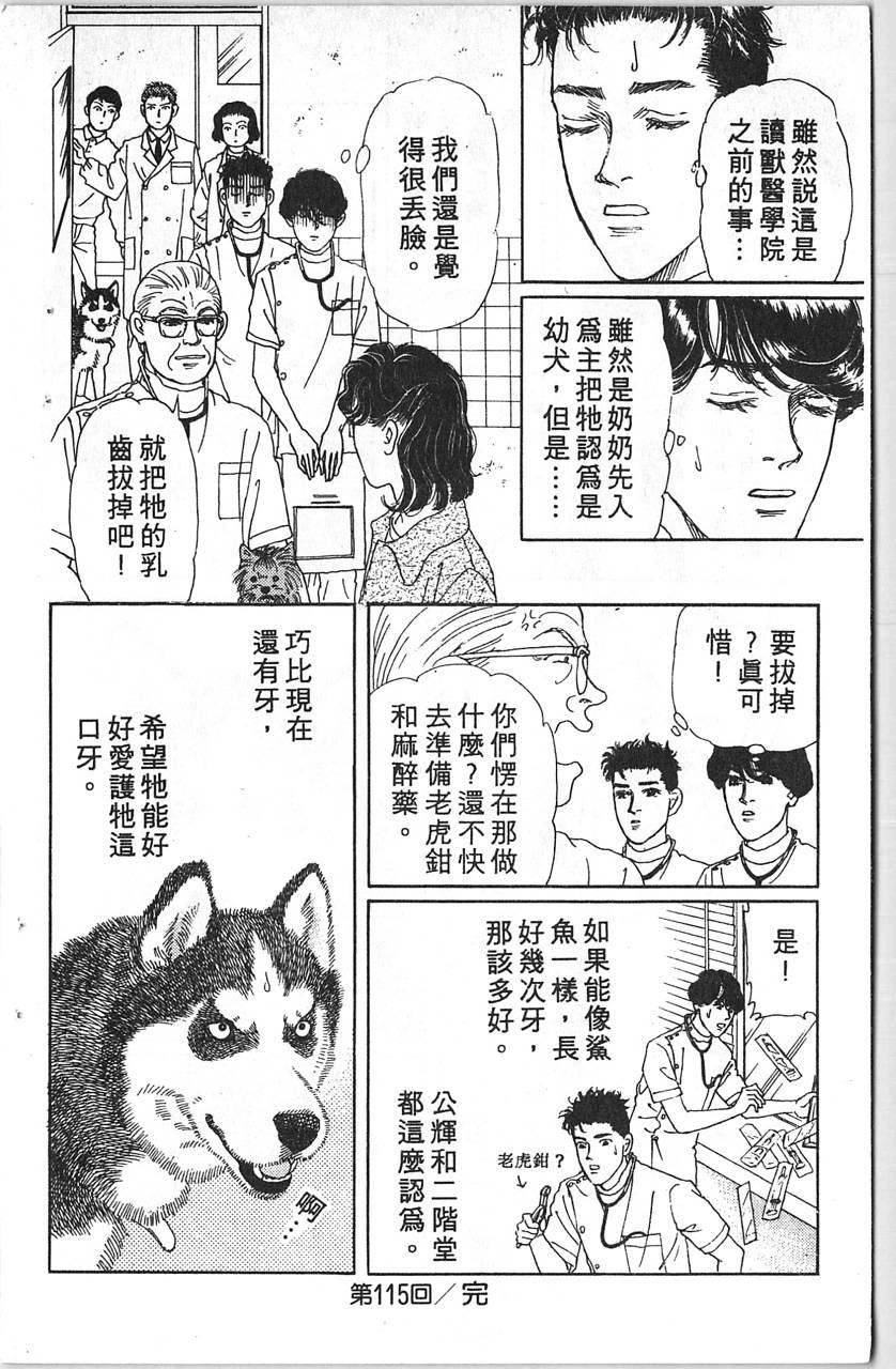 爱心动物医生韩漫全集-第12卷无删减无遮挡章节图片 