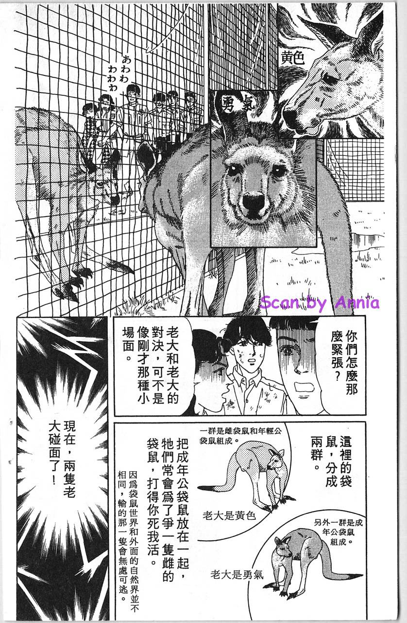 爱心动物医生韩漫全集-第12卷无删减无遮挡章节图片 