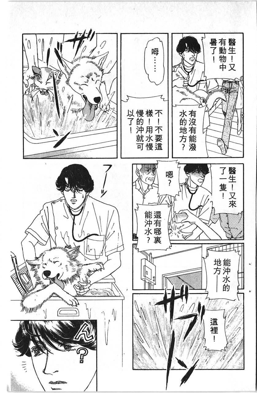 爱心动物医生韩漫全集-第12卷无删减无遮挡章节图片 