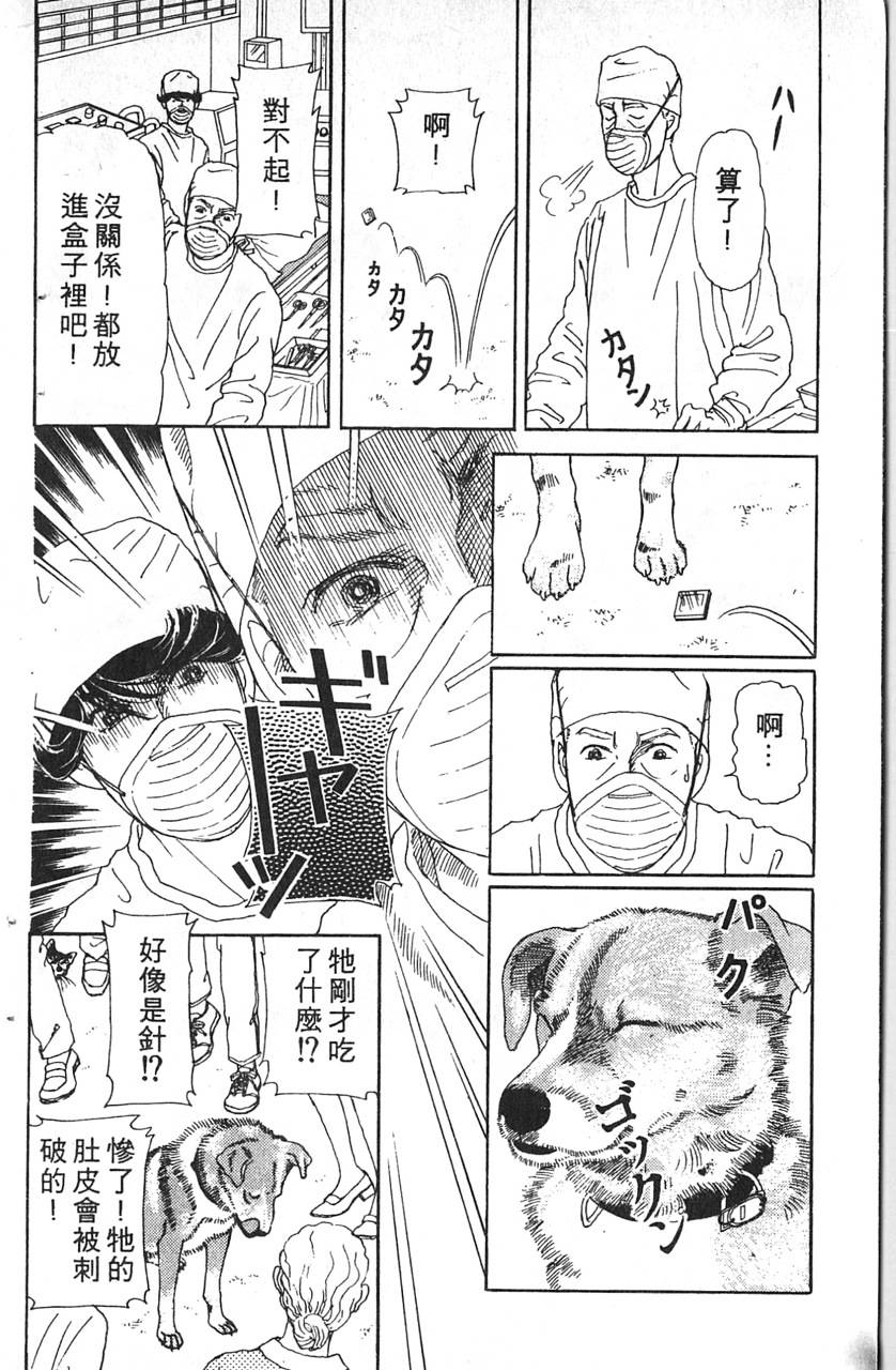 爱心动物医生韩漫全集-第12卷无删减无遮挡章节图片 