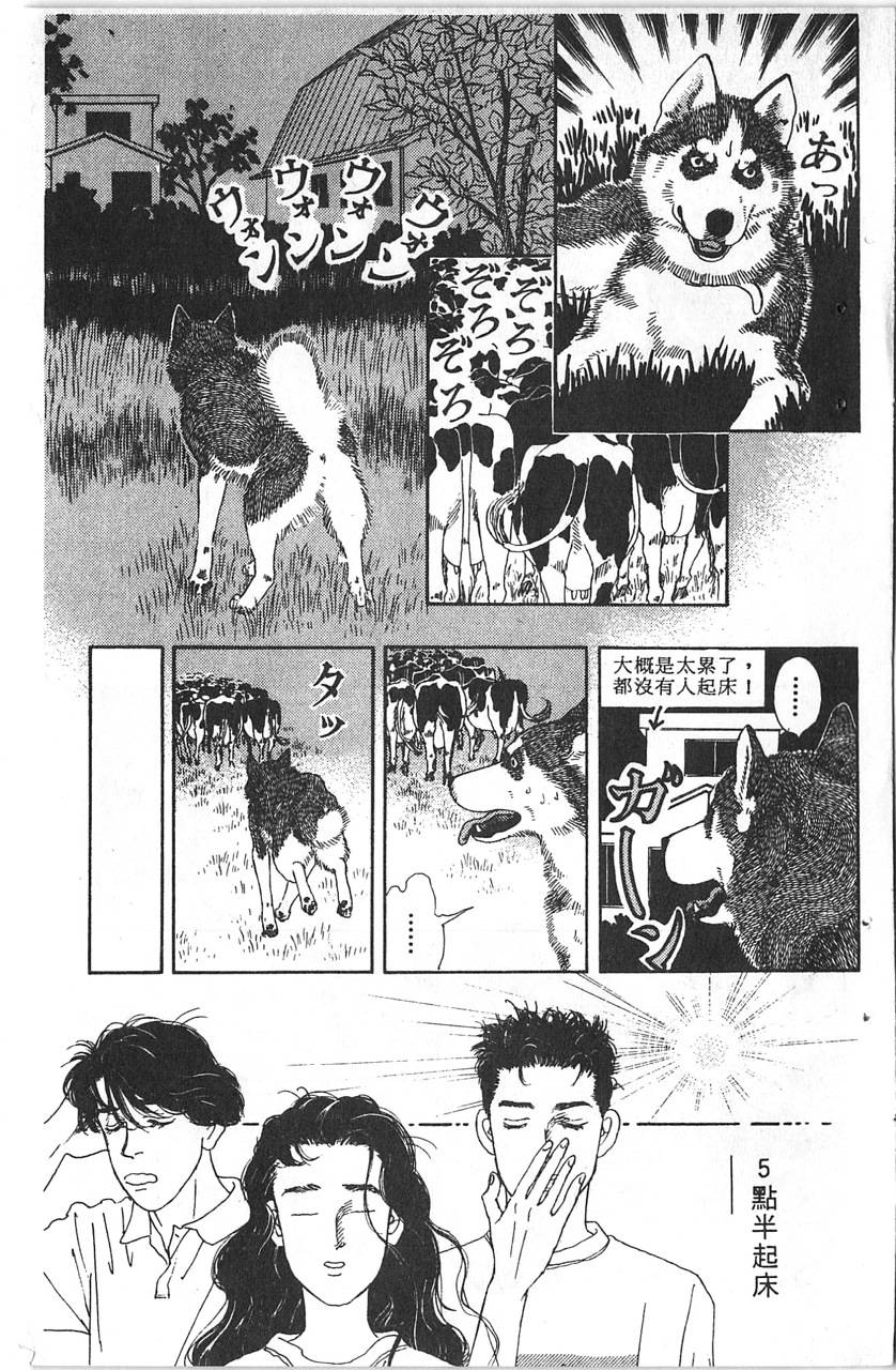 爱心动物医生韩漫全集-第12卷无删减无遮挡章节图片 