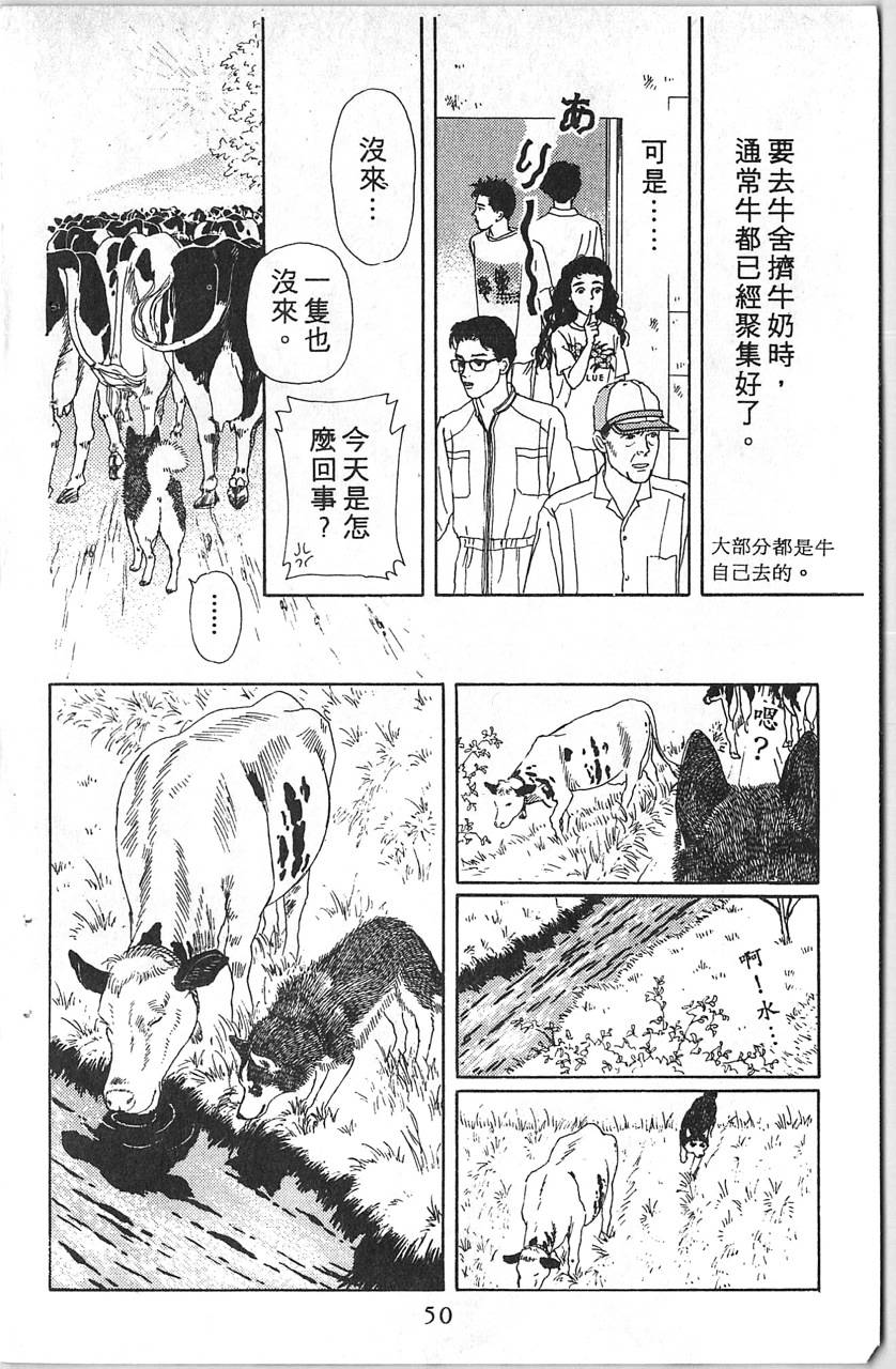 爱心动物医生韩漫全集-第12卷无删减无遮挡章节图片 